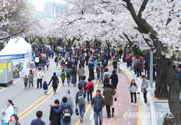 ▲2018 영등포 여의도 봄꽃축제가 ‘꽃이 피면, 봄이 온다’를 주제로 오는 4월 5일 개막한다. (사진=내외뉴스 자료실)