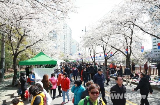 ▲2018년 도봉구 창2동 에코벚꽃축제 모습. (사진=도봉구 제공)