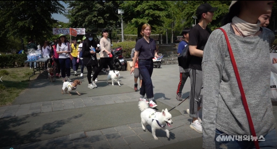 ▲서울 강동구는 11일 둔촌동 일자산 잔디광장에서 '동물사랑 걷기대회'를 개최했다. (영상촬영=정동주 기자)