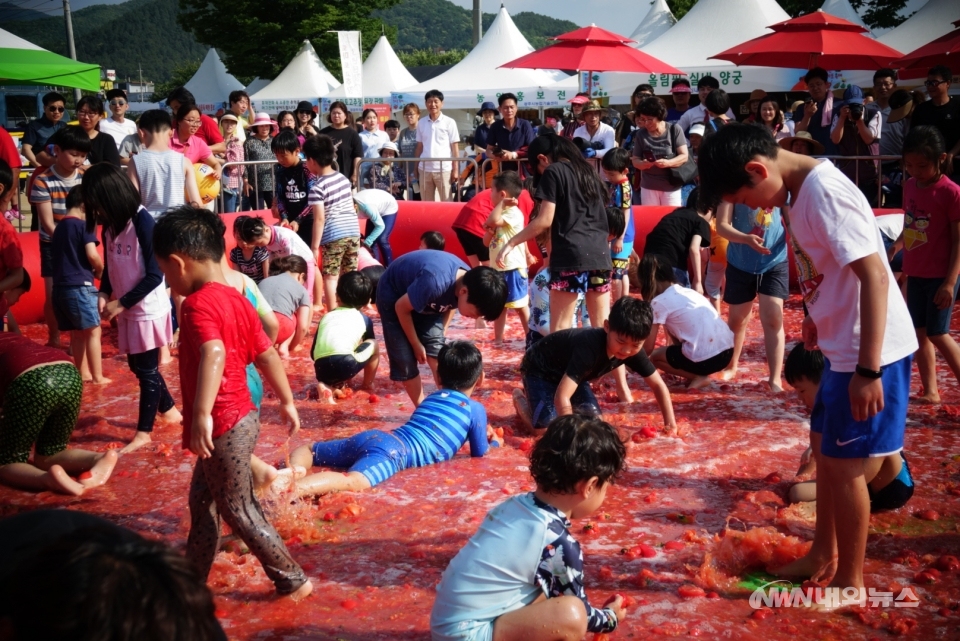 ▲제17회 퇴촌 토마토 축제에서 아이들이 '황금 토마토를 찾아라' 체험 프로그램을 즐기고 있다. (내외뉴스=정동주 사진 전문기자) 