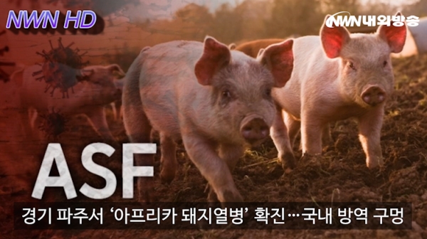 ▲내외방송 뉴스 영상