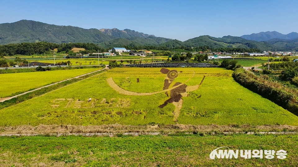 ▲충북 괴산군 칠성면 율원리 일원에 유색벼로 조성한 상모돌리기 논 그림. (사진=김범일 사진작가 제공)