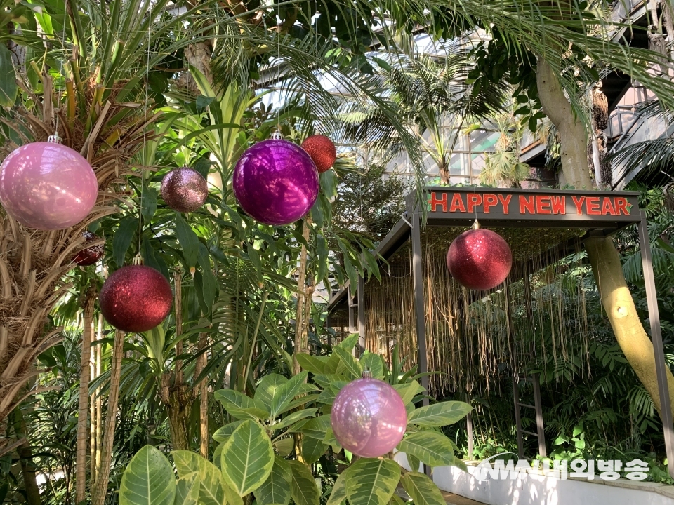 ▲서울대공원 식물원이 '꽃과 식물로 만나는 크리스마스 전시회'를 오는 31일까지 개최한다. (사진=서울시 제공)