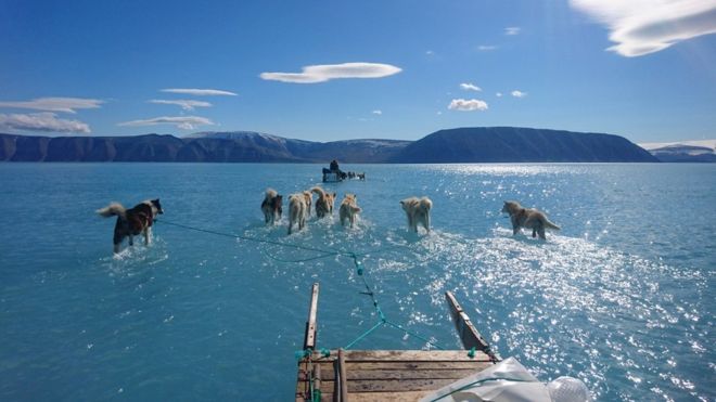 ▲Climate scientist Steffen Olsen took this picture while travelling across melted sea ice in north-west Greenland