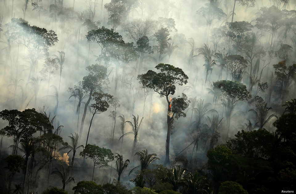 ▲reuters_brazil_amazon_rainforest_fire_.jpg