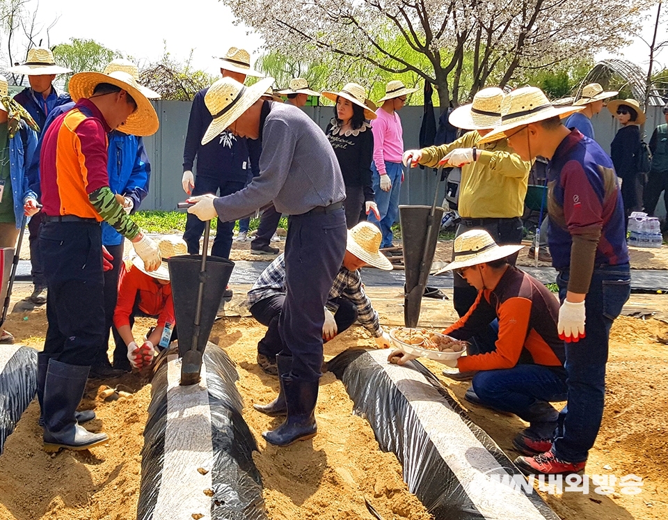 ▲서울시 귀농·귀촌(전원생활)교육 과정 중 텃밭채소 가꾸기 재배 실습. (사진=서울시 제공)