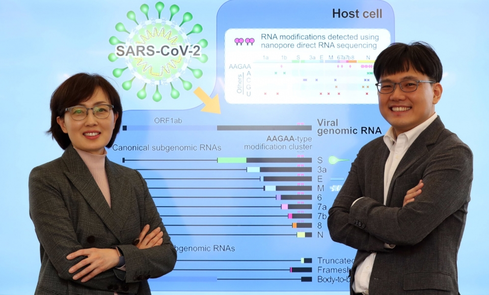 ▲ 코로나19 바이러스 RNA 전 사체를 세계 최초로 분석한 김빛내리 교수와 장혜식 서울대 생명과학부 장혜식 교수 (사진=중앙일보)
