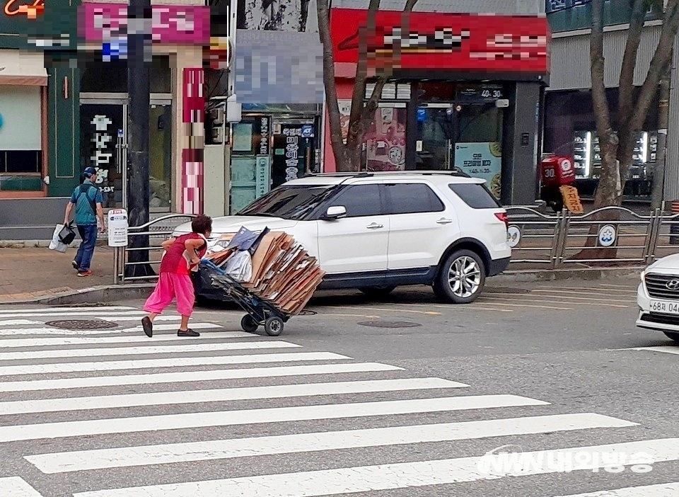 ▲ 경기 성남시 중원구 산성대로에서도 한 노인이 폐지를 실은 손수레를 끌고 역주행 하고 있다. (사진= 내외방송 정수남 기자)