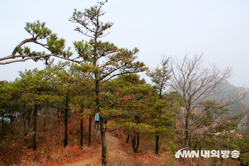 ▲ 가족끼리 산에 오른 후 서부면 궁리항을 찾아 신선한 해물을 먹는 것도 용봉산을 찾는 재미다.  (사진= 내외방송 정수남 기자)