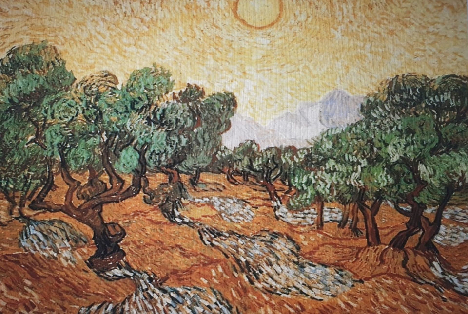 ▲ 노란 하늘과 태양 아래 올리브 나무들, 생레미, 1889.11. 미국 미니에나폴리스 미술관