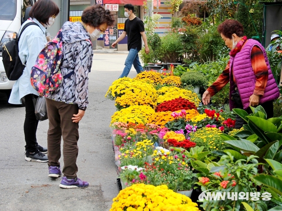 ▲ 대학로 인근 전통시장인 충신시장 꽃집. 동네 아낙들이 국화를 고르고 있다. (사진=내외방송 정수남 기자)