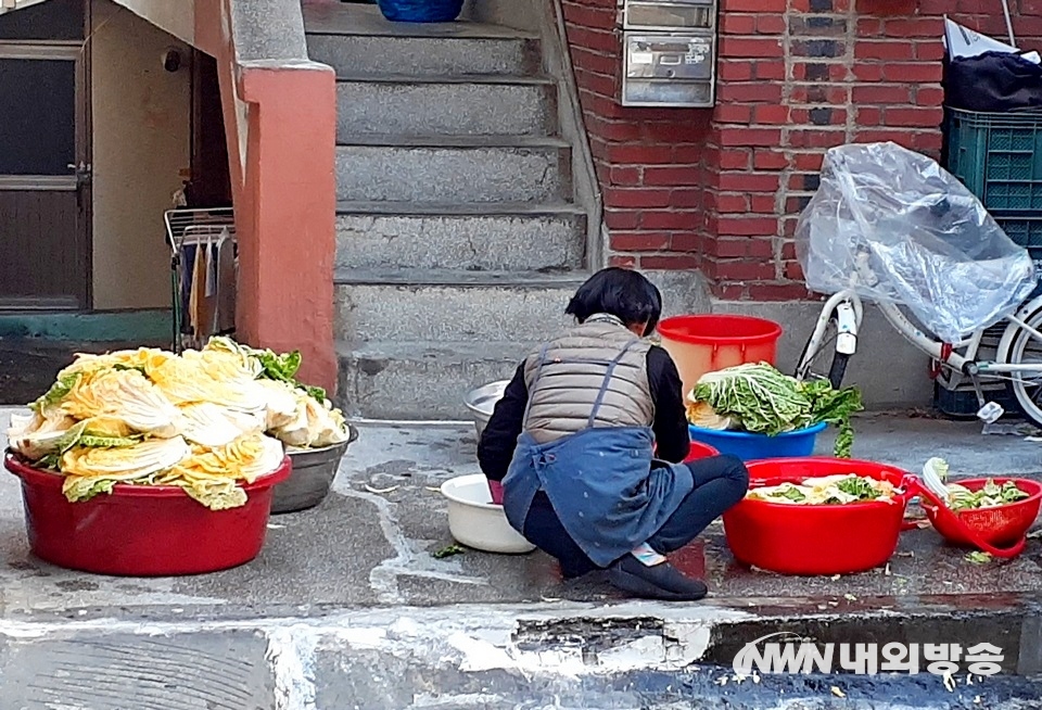 ▲ 서울 종로 한 주택에서 주부 혼자 배추 20여 포기의 김장을 혼자 하고 있다. (사진=내외방송 정수남 기자)