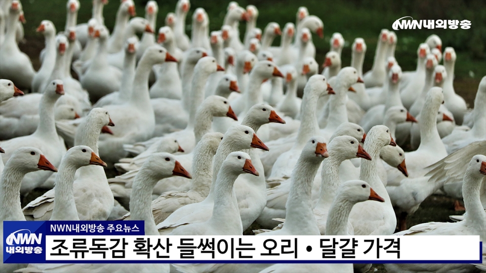 ▲ 내외방송 뉴스 영상