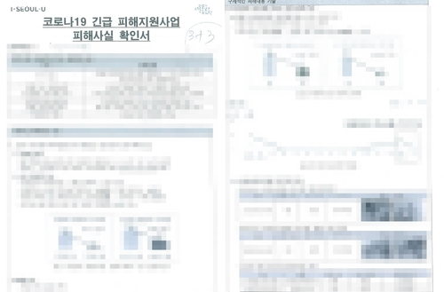 ▲ 서울문화재단의 '코로나 피해 긴급 예술 지원'에서 불합격한 지원자들의 피해사실 확인서