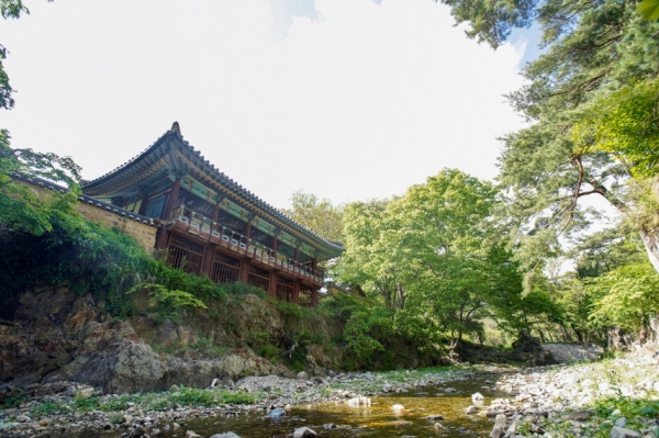 ▲ 경북 포항문화재단은 20일부터 5월 16일까지 ‘영남선비들의 삶과 꿈, 누정(樓亭/누각과 정자의 줄인말)에 담다’를 연오랑세오녀테마공원 전시관(귀비고)에서 개최한다고 19일 밝혔다. (사진=포항시 제공)