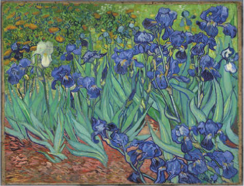 ▲ Irises 1889, 71x93cm, 폴 게티 미술관