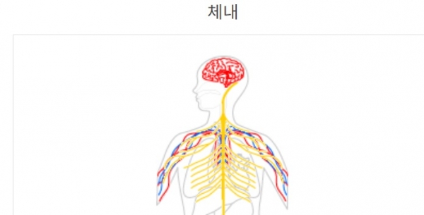 ▲ 체내 유전자 구조(자료=질병관리청)