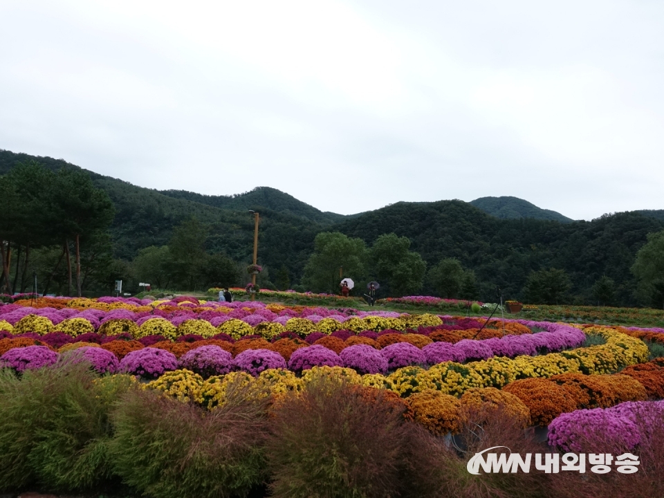 ▲ 경기도 가평 '자라섬 남도 꽃 축제' 현장. 2021.10.08. (사진=정동주 사진전문 기자)