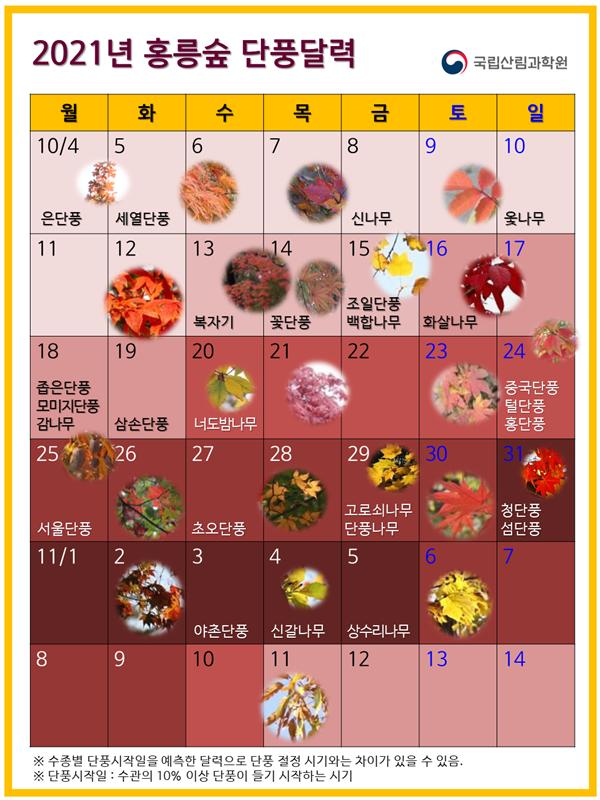 ▲ 2021년 홍릉숲 단풍달력 사진 (사진=산림청 제공)
