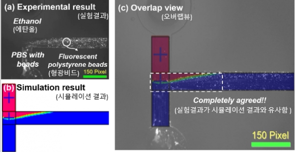 ▲ 그림 2. 시뮬레이션 및 실험 결과를 설명한 그림