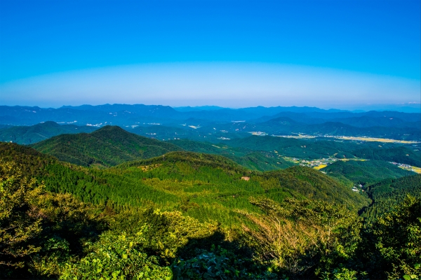 ▲ 고창 문수산 편백나무 숲(원경) (사진=산림청 제공)