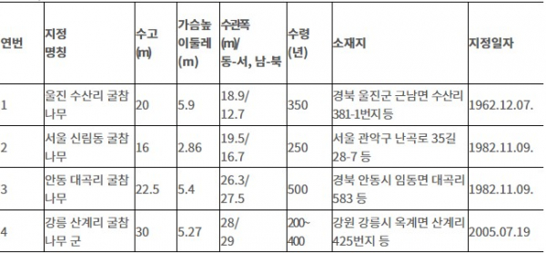 천연기념물로 지정된 굴참나무는 노거수 4건으로 지정현황(사진=문화재청)