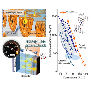 3차원 고분자 나노 네트워크 기반 리튬유기전지 모식도 및 율특성의 획기적인 향상 (사진=KAIST 제공)