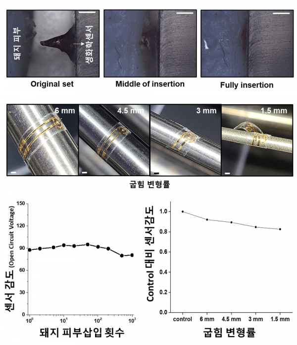 연구에서 개발한 웨어러블 마이크로니들의 생화학센서의 기계적 안정성 (사진=KAIST 제공)