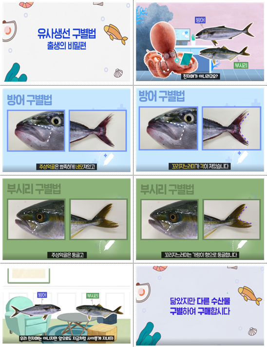 유사생선 구별법_출생의 비밀편(온라인 홍보용 영상) (사진=식약처 제공)