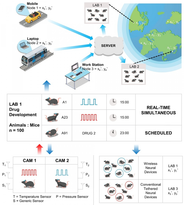 사물인터넷 기반 뇌 신경회로 원격제어 시스템의 개념도. (상) 시간과 장소에 상관없이 인터넷 웹사이트를 통한 원격 동물 뇌 제어 지원. (중) 실시간 동시 제어 및 스케줄링 기능을 이용하여 대규모 동물실험 수행. (하) 양방향 통신을 통한 데이터 수집 (좌) 및 다수 동물 뇌의 동시/선택적 제어 구현 (우) (사진=KAIST 제공)