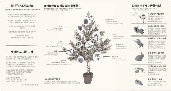 '크리스마스 트리로 보는 국립수목원의 열매들' 전시회의 리플릿 (사진=산림청 제공)
