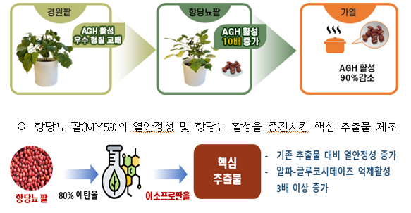 알파-글루코시데이즈(AGH) 억제활성을 지닌 항당뇨 팥 (사진=농촌진흥청 제공)