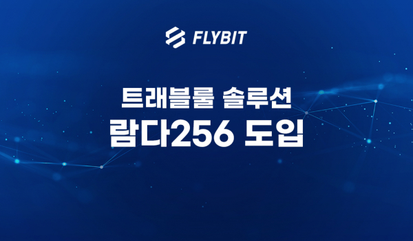 플라이빗, 트래블룰 솔루션 '람다256' 이미지.(사진=플라이빗)