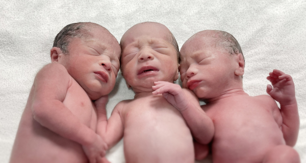 2022년 첫날 태어난 세 쌍둥이, 좌측부터, 첫째, 둘째, 셋째.(사진=고려대학교 안암병원)