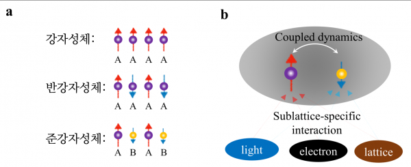 (a) 스핀 기반 정보 처리 기술에서 지금까지 주로 사용되어 온 강자성체의 스핀 정렬 모식도와 최근 급격한 관심을 받고 있는 반강자성체 및 준강자성체의 스핀 정렬 모식도. (b) 준강자성체는 빛(light), 전자(electron), 격자(lattice)와 다양한 방식으로 상호 작용하여 그 활용 범위가 넓음을 보이는 모식도. (사진=KAIST 제공)