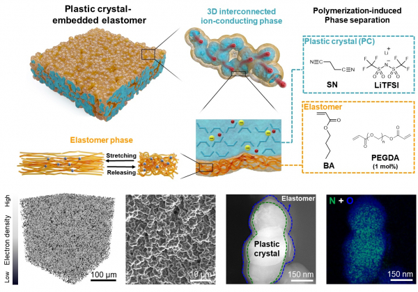 엘라스토머 기반 고분자 전해질 구조 및 전자현미경 이미지 (사진=KAIST 제공)