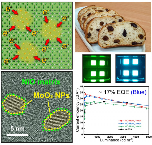 건포도 빵 구조의 NiO:MoO3 전하 전달 복합체 및 소자 성능: 산화 니켈(NiO) 내부에 산화 몰리브덴(MoO3) 나노입자가 건포도 빵 형태와 같은 헤테로 구조를 이루는 형태다. 두 금속 산화물 효과적인 전하 전달(Charge transfer)가 유도돼 박막의 에너지 밴드가 넓은 범위에서 조절 가능해 여러 광전자소자에 맞춤형으로 제공이 가능하다. 이 박막은 녹색 및 청색 유기 발광다이오드(OLED)에 적용됐고 청색 소자 기준 상용 유기소재 기반 소자보다도 높은 17% 수준의 외부양자효율을 달성해 범용성과 성능을 입증했다.
