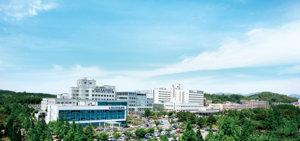 전북대학교병원 전경.(사진=전북대병원)