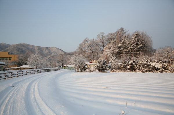 느림길 겨울