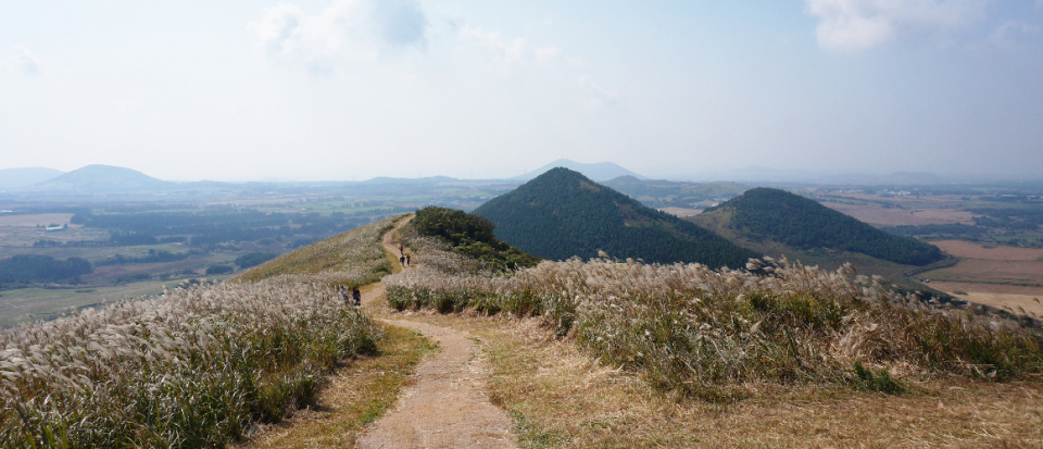 제주도 '새별오름'(사진=VISIT JEJU 홈페이지)