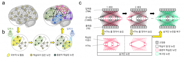 KAIST가 '두뇌 신경 조율 활동'을 모방해 저전력 인공지능 하드웨어 핵심기술을 개발했다.(사진=KAIST)