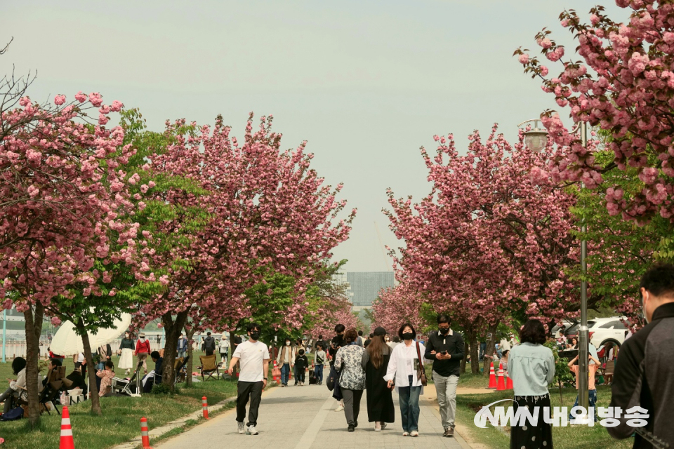 경기도 하남 조정경기장 내에는 왕벚꽃과 철쭉꽃이 만개해 23일 이른 아침부터 주말을 맞아 가족 나들이 행렬이 이어지고 있다. 2022.4.23.(사진=한정자 기자)