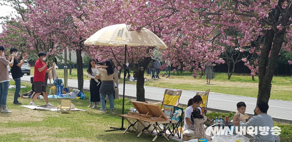 23일 경기도 하남 조정경기장 내 만개한 왕벚꽃 나무아래 가족들과 연인들이 자리를 잡고 맛있는 음식을 먹으며 즐거운 시간을 보내고 있다. 2022.4.23.(사진=한정자 기자)