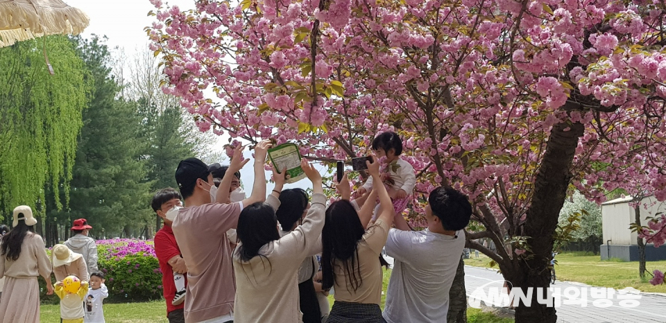 인증샷을 담으려는 가족과 연인들의 모습도 보였다.2022.4.23. (사진=한정자 기지)