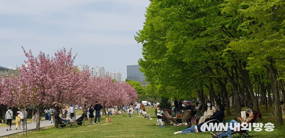 경기도 하남 조정경기장 내에는 왕벚꽃과 철쭉꽃이 만개해 23일 이른 아침부터 주말을 맞아 가족 나들이 행렬이 이어지고 있다. 2022.4.23.(사진=한정자 기자)