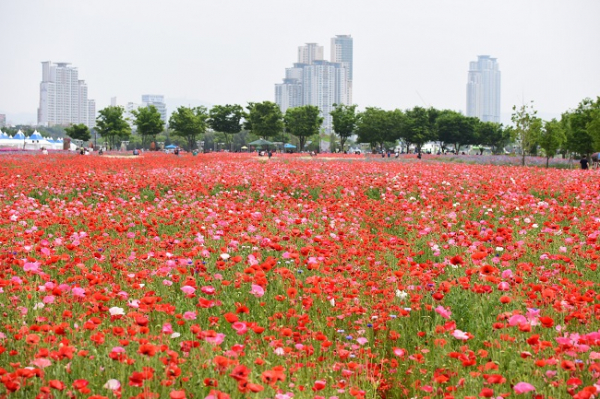 사진=울산시