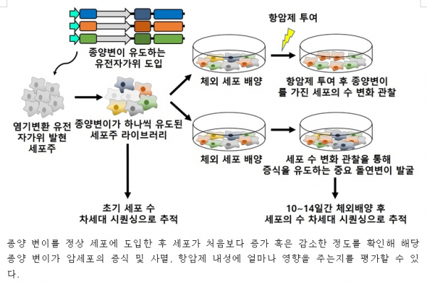 (사진=연세대 의과대학)