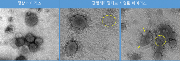 광열 헤파 필터로 사멸시킨 바이러스.(사진=한국에너지기술연구원)