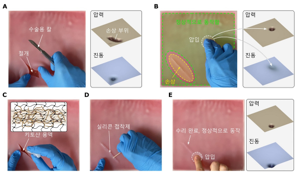 로봇 수리의 피부 및 기능 복귀 결과.(사진=KAIST)