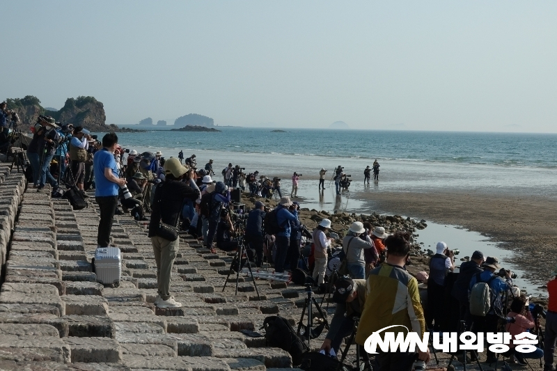지난 11일 일몰이 아름다운 충남 태안 운여해변에서 한국사진작가협회 스포츠분과 주관으로 촬영회가 열렸다. (사진=한정자 기자)